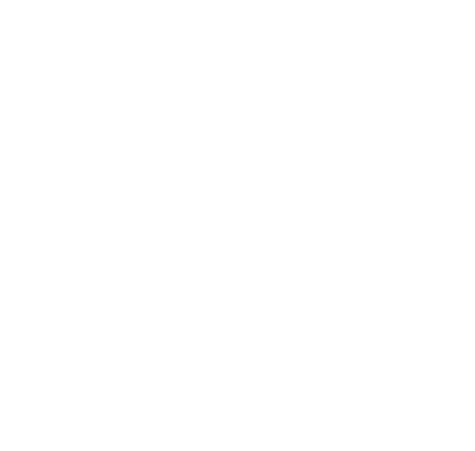 Icon particulier
